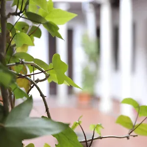  Apartmán Adanar-las Columnas Španělsko